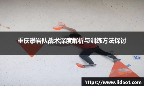 重庆攀岩队战术深度解析与训练方法探讨